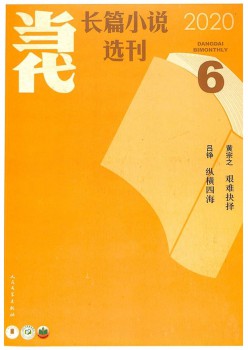 今世长篇小说选刊杂志