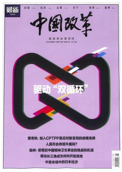 中国鼎新杂志