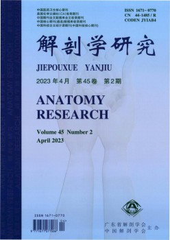 剖解学研讨杂志