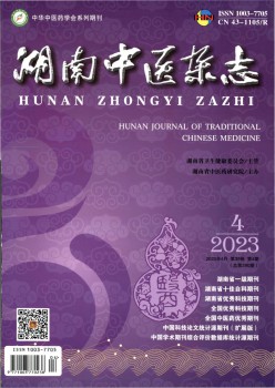湖南西医杂志