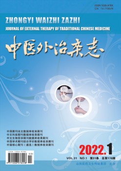 西医外治杂志
