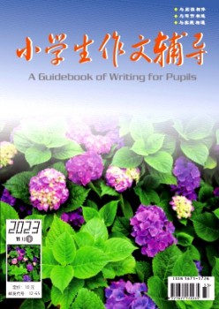 小先生作文教导·下旬杂志