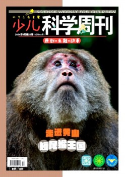 少儿迷信周刊·少年版杂志